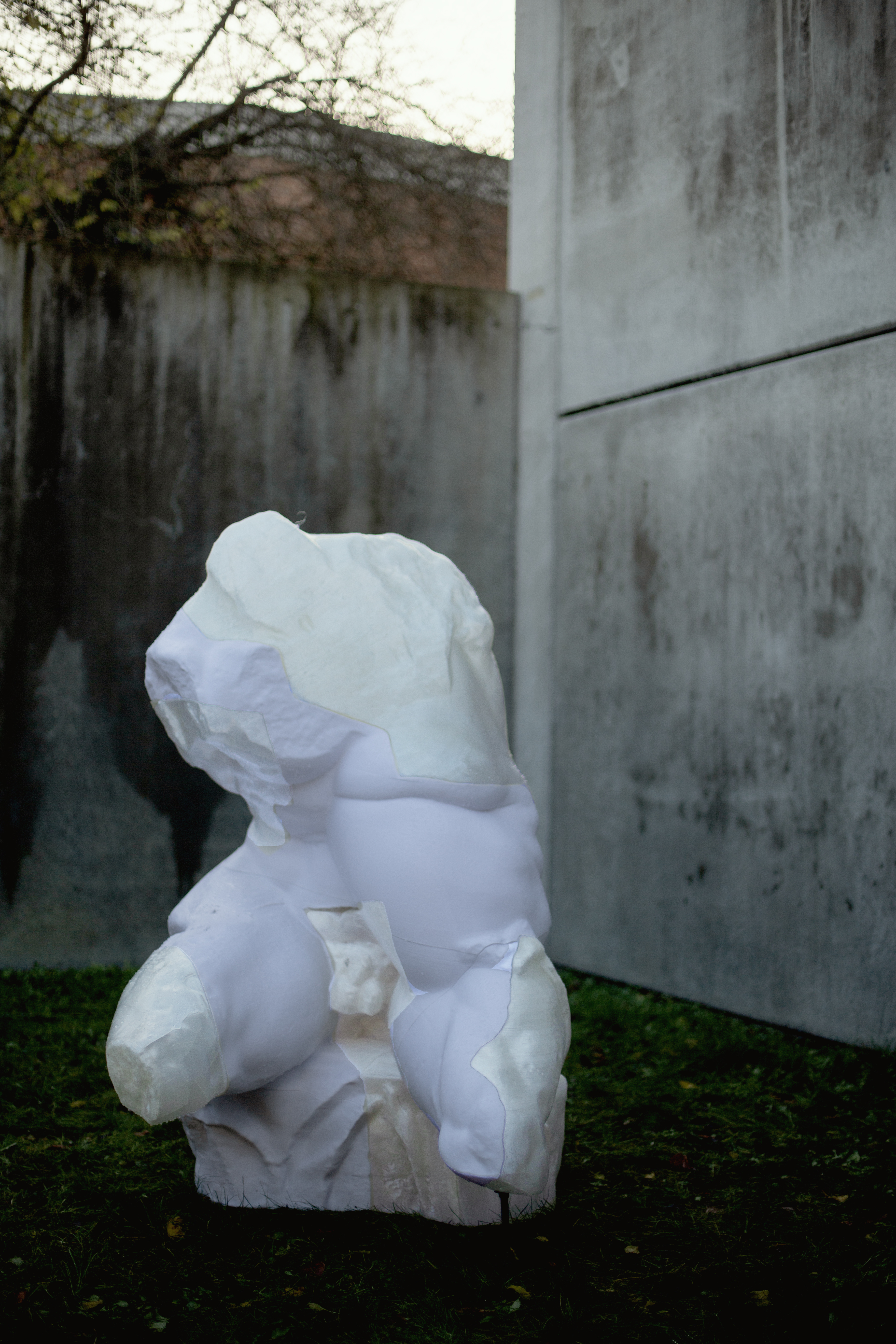 (Untitled)